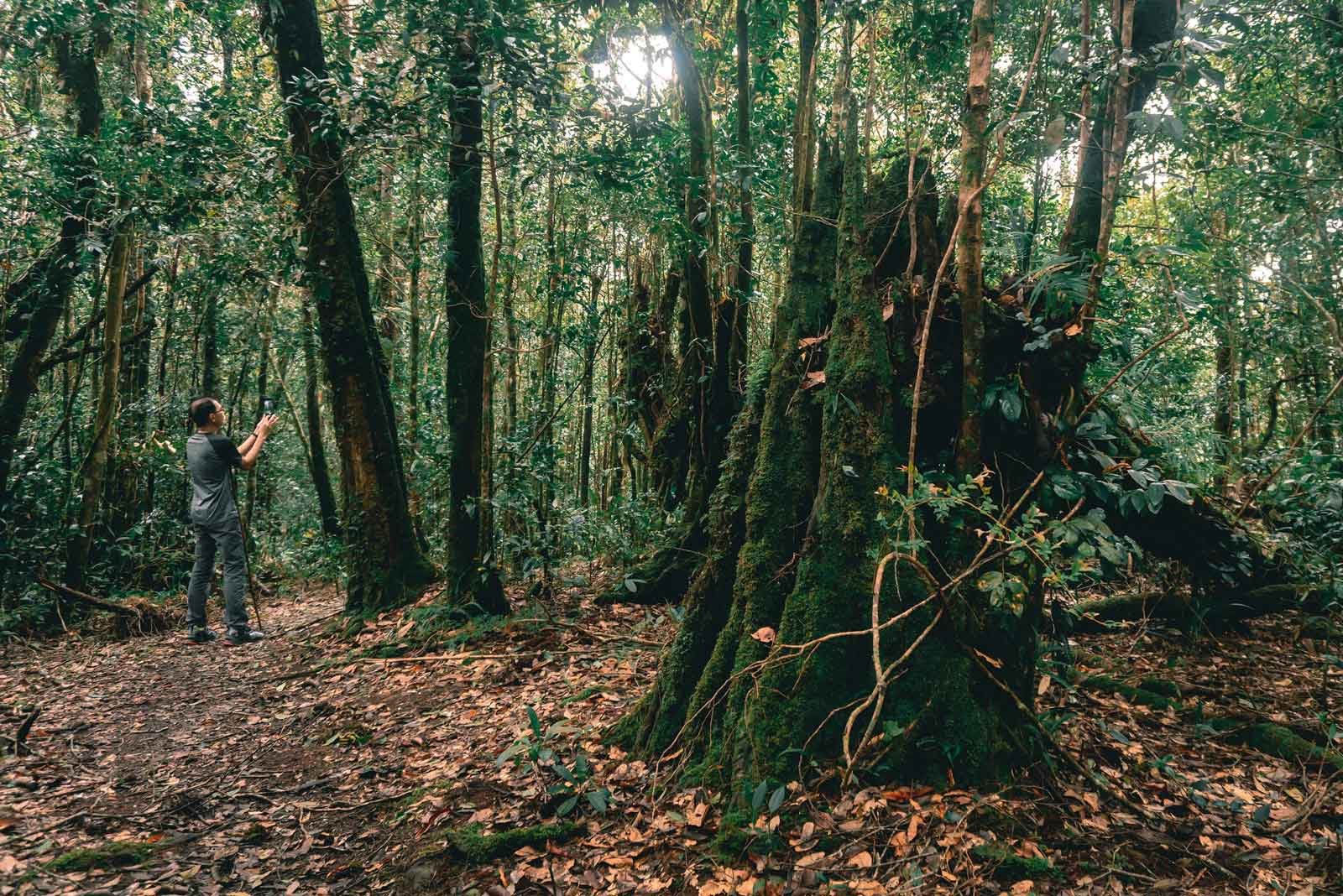 Siem Reap Angkor Trekking Tour 7 Days